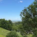 Grange rénovée à vendre à Mazères-Lezons, 96 m², terrain arboré, vue coteaux