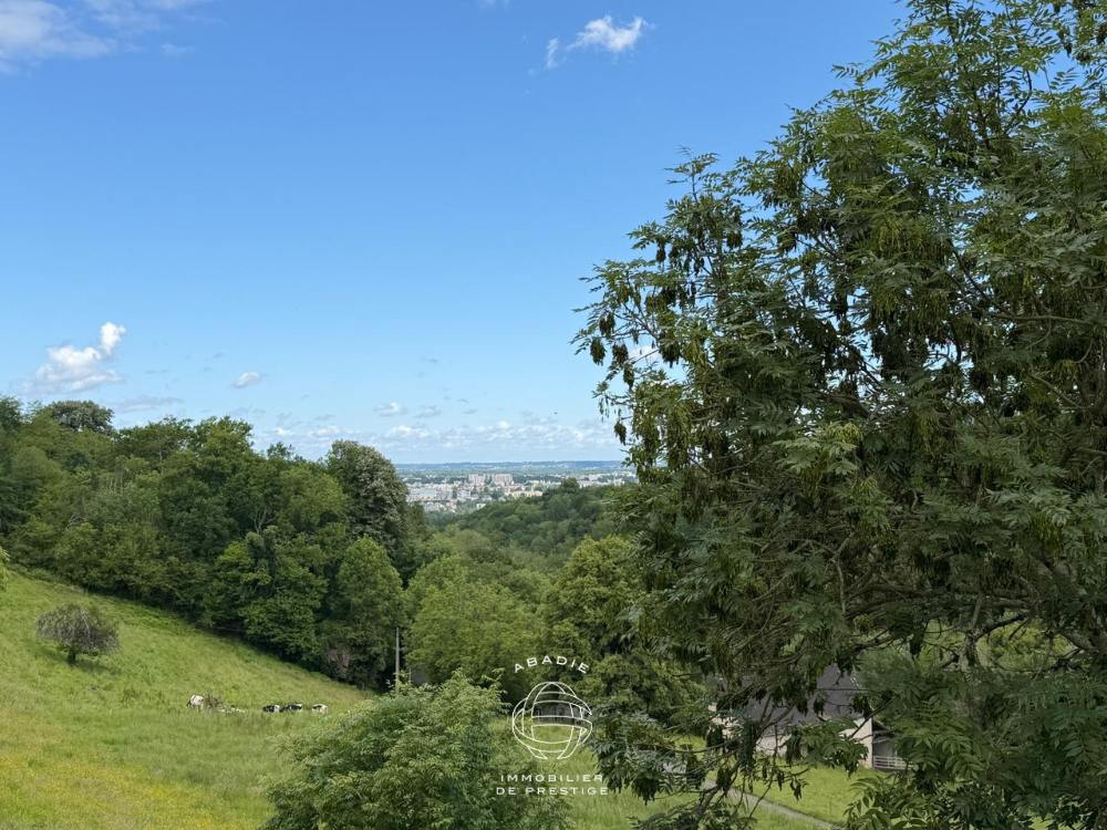Grange rénovée à vendre à Mazères-Lezons, 96 m², terrain arboré, vue coteaux