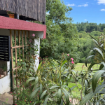 Grange rénovée à vendre à Mazères-Lezons, 96 m², terrain arboré, vue coteaux